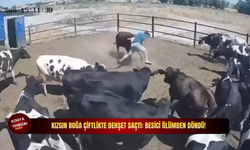 Kızgın boğa çiftlikte dehşet saçtı: Besici ölümden döndü!