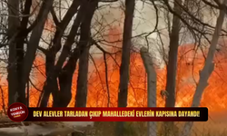 Dev alevler tarladan çıkıp mahalledeki evlerin kapısına dayandı!