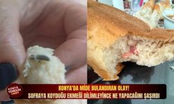 Konya'da mide bulandıran olay! Sofraya koyduğu ekmeği dilimleyince ne yapacağını şaşırdı