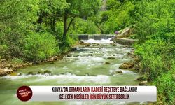 Konya’da ormanların kaderi reçeteye bağlandı! Gelecek nesiller için büyük seferberlik
