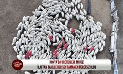 Konya’da üreticilere müjde: İlaçtan tahlile her şey tamamen ücretsiz oldu!