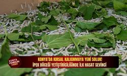 Konya’da kırsal kalkınmaya yeni soluk: İpek böceği yetiştiriciliğinde i̇lk hasat sevinci!