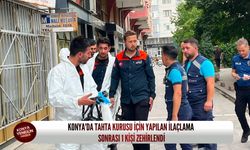 Konya'da tahta kurusu alarmı: İlaçlama sonrası bir kişi zehirlendi