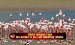 Gökyüzü pembeye boyandı: Doğa harikası sulak alanda görülmemiş yoğunluk