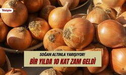 Soğan fiyatları durmuyor! Markette kilosu 75 TL'yi gördü