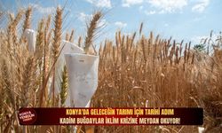 Konya'da geleceğin tarımı için tarihi adım: Kadim buğdaylar iklim krizine meydan okuyor!