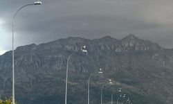 Yol boyunca uzanan elektrik direkleri leyleklerin yuvası oldu!