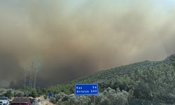 Muğla'daki yangın Antalya'ya sıçradı!