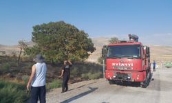 Karapınar'da korkutan ot yangını!