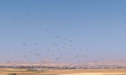 Düden Gölü’nde gökyüzünü kaplayan leyleklerin görsel şöleni dronla kaydedildi