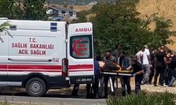 Konya plakalı otomobil tırlarla çarpıştı: Biri 3 yaşında 2 ölü!