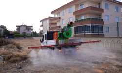 Karatay’da haşereyle mücadelede devrim: Havadan müdahaleyle ilaçlama dönemi başladı!