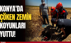 Konya'da çöken zemin koyunları yuttu!