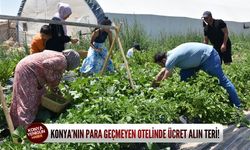 Konya’nın para geçmeyen otelinde ücret alın teri!