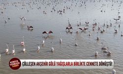 Çölleşen Akşehir Gölü yağışlarla birlikte cennete dönüştü!