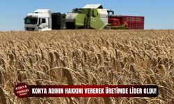 Konya adının hakkını vererek üretimde lider oldu!