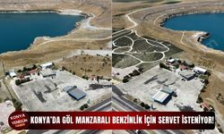 Konya’da göl manzaralı benzinlik için servet isteniyor!