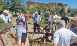 Emektar öğretmen Ahmet Candar’ın adı çınar ağacıyla yaşayacak!