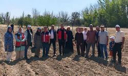 Çumra’da "kırmızı altın" toprakla buluştu!