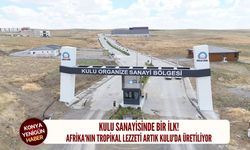 Afrika'nın tropikal lezzeti artık Kulu'da üretiliyor
