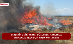 Beyşehir’de iki farklı bölgedeki yangında ormanlık alan son anda kurtarıldı