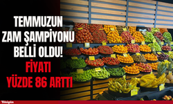 Temmuzun zam şampiyonu belli oldu! Fiyatı yüzde 86 arttı