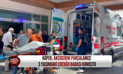 Köpeğin saldırdığı 3 yaşındaki çocuğun babası Konya'da konuştu