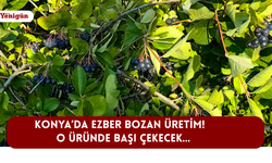 Konya'da ezber bozan üretim! O üründe başı çekecek...