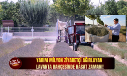 Yarım milyon ziyaretçi ağırlayan Karatay Lavanta Bahçesinde hasat zamanı!