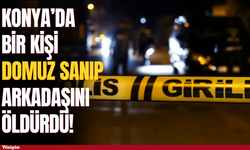 Konya'da bir kişi domuz sanıp arkadaşını öldürdü