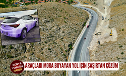 Araçları mora boyayan yol için şaşırtan çözüm: 5 kilometre asfalt kazındı