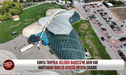 Konya Tropikal Kelebek Bahçesi’ne akın var: Haritadaki iğneler gerçeği ortaya çıkardı