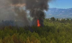 Antalya'daki yangına Konya'dan büyük destek...