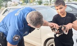 Konya’da otomobilin motoruna sıkışan yavru kedi akılcı yöntemle kurtarıldı!