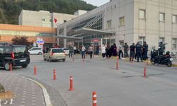 Hayvan otlatma meselesi silahlı kavgaya dönüştü! Yaralılar var...