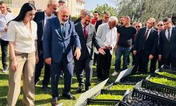 Üreticilere destek! Çoban çantası ve binlerce fide dağıtıldı…