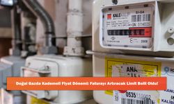 Doğal Gazda Kademeli Fiyat Dönemi: Faturayı Artıracak Limit Belli Oldu!