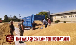 Konya’da hasat bereketi! TMO yaklaşık 2 milyon ton hububat aldı