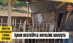 Konya’da hayvancılık yapmak istiyordu: İŞKUR desteğiyle hayaline kavuştu