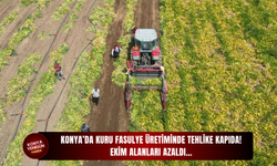 Konya’da kuru fasulye üretiminde tehlike kapıda! Ekim alanları azaldı…