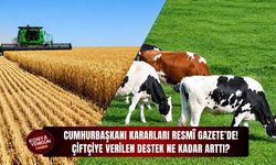 Çiftçiye verilen destek ne kadar arttı?