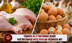 Yumurta ve et üretiminde rekor! Peki üretimdeki artış fiyatları düşürecek mi?