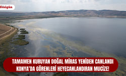 Tamamen kuruyan doğal miras yeniden canlandı: Konya’da görenleri heyecanlandıran mucize!