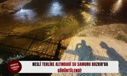 Nesli tehlike altındaki su samuru Bozkır'da görüntülendi!