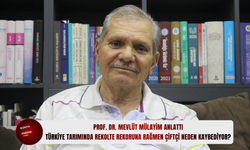 Prof. Dr. Mevlüt Mülayim anlattı: Türkiye tarımında rekolte rekoruna rağmen çiftçi neden kaybediyor?