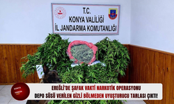 Ereğli’de şafak vakti narkotik operasyonu: Depo süsü verilen gizli bölmeden uyuşturucu tarlası çıktı!