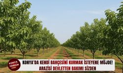 Konya’da kendi bahçesini kurmak isteyene müjde: Arazisi devletten bakımı sizden!