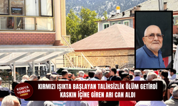 Kırmızı ışıkta başlayan talihsizlik ölüm getirdi: Kaskın içine giren arı can aldı