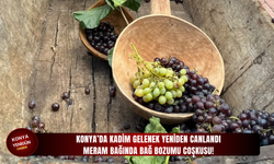 Konya’da kadim gelenek yeniden canlandı: Meram bağında bağ bozumu coşkusu!
