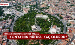 Herkes kendi memleketinde yaşasa Konya'nın nüfusu kaç olurdu?